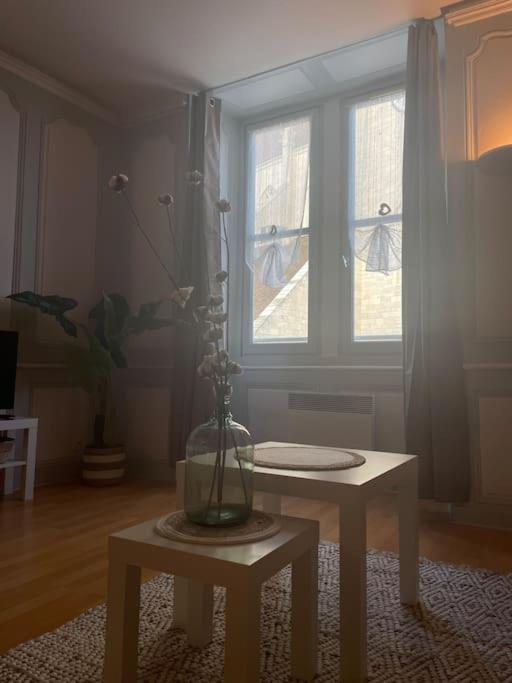Apartmán « Au Coeur De Dole » Exteriér fotografie